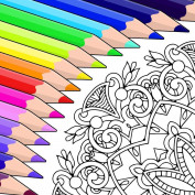 Colorfy Official profile image