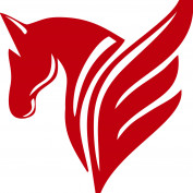 giaiphapquatang profile image