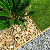 CarsonCityLawnandLandscap profile image