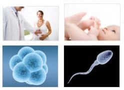 IVF Process and Other Infertility Treatments: Are They For You?