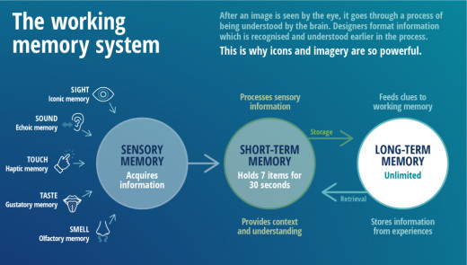 The Working Memory System