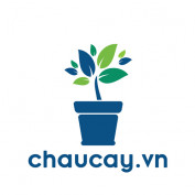 chaucayvn profile image