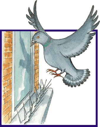How bird deterrents work. Perfectly humane but they do get rid of birds. 