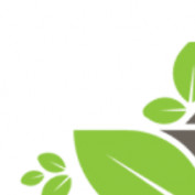 homeremedies01 profile image