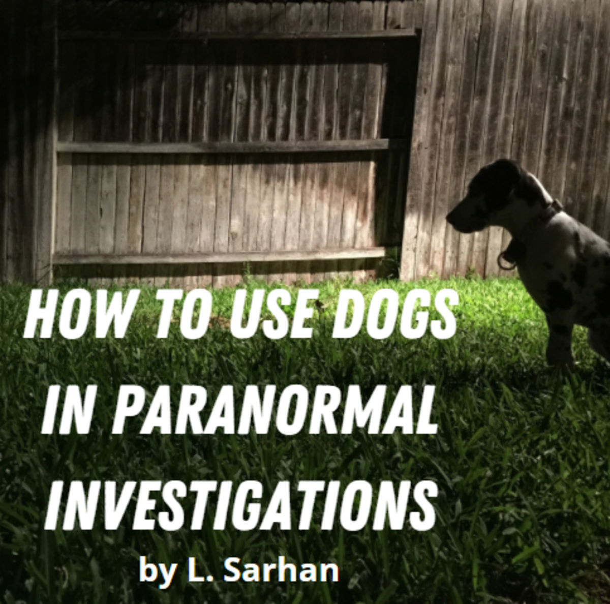 How to Use Dogs in Paranormal Investigations