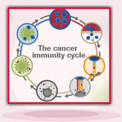 Immunotherapy of Cancer.
