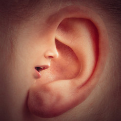 Facts About Hearing Loss