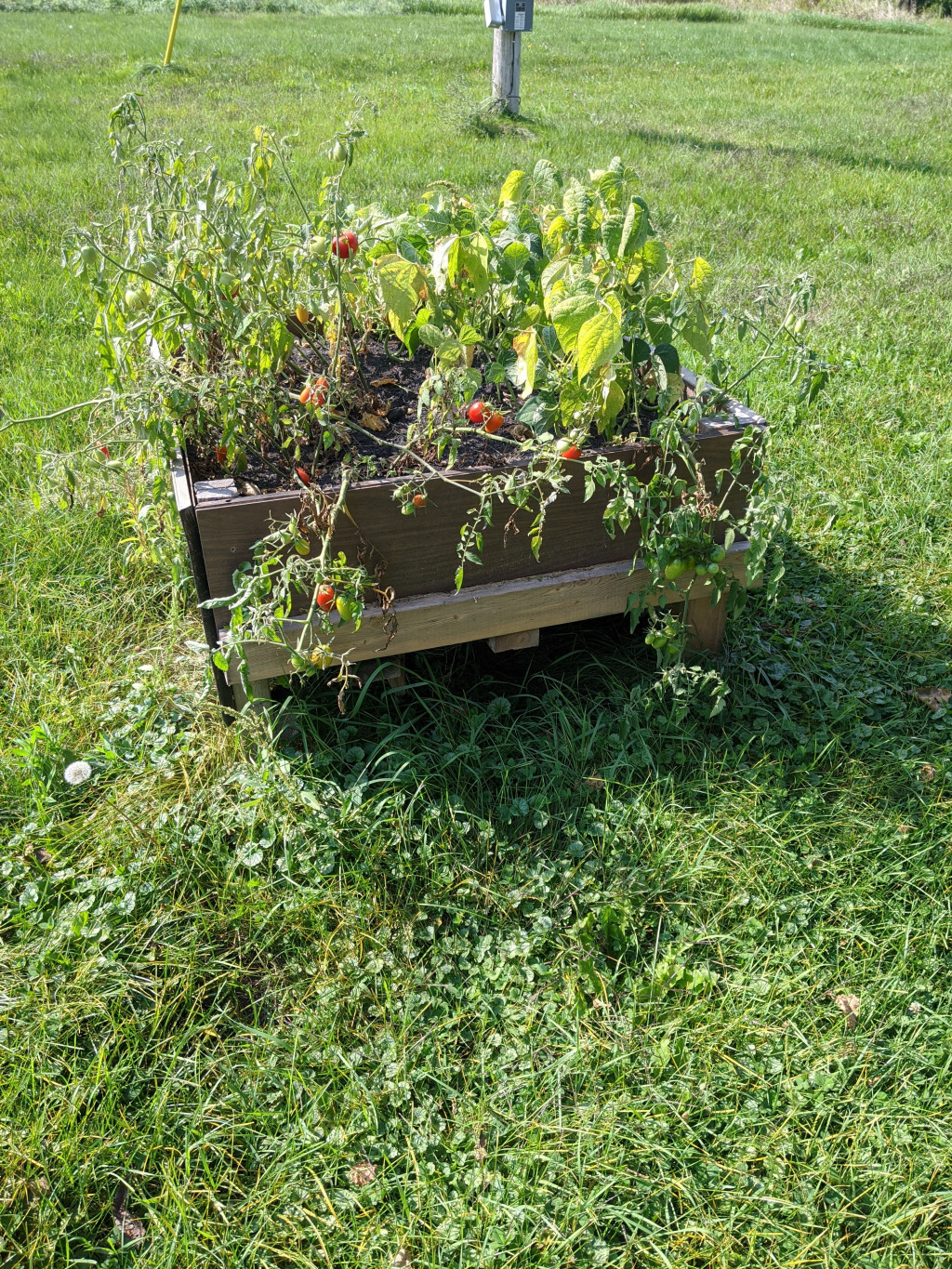 Raised Gardening - Harvesting the Crops | HubPages