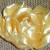 A rose from pulled sugar A rose from pulled sugar