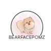 Bearfacepomz profile image