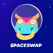 SpaceSwap profile image
