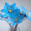 Bushra Tanvir profile image