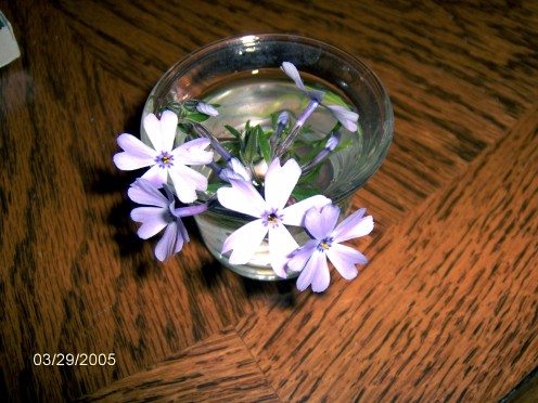 A sweet little bouquet from my son.  These are sweet sweet memories. 