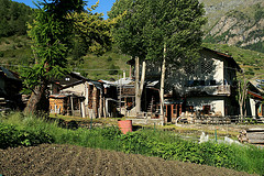 Ancient Italian farmhouse. Ancient Italian farmhouse.