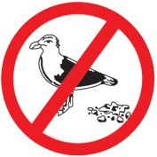 birdbgone profile image