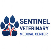 emergencyvet profile image