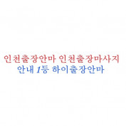 Incheonbusinesstrip profile image