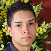 Emerson Vieira Rocha profile image