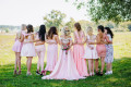 The Bridesmaid's Survival Guide
