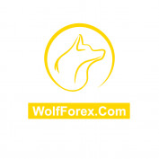wolfforex profile image