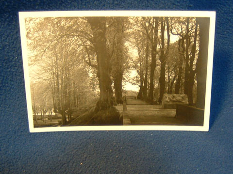 A postcard, not from my collection, of the supposed "Hamlet's Grave"