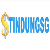 tindungsg profile image