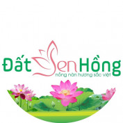 datsenhong profile image