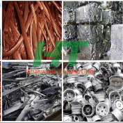 phelieuhungthinh profile image