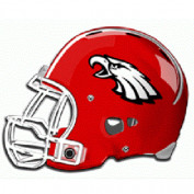 txhshelmetproject profile image