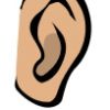big ear big hearing loss