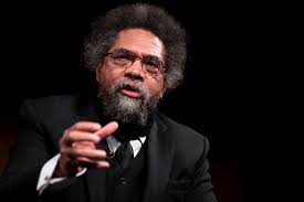Cornel West is an example of a philosophy professor. Not only a philosophy teaches, publishes books and articles as well.