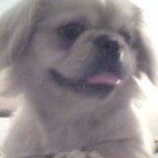 Jack Rella profile image