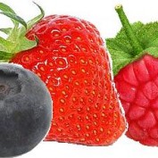 juicerlove profile image