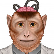 monkeyminds profile image