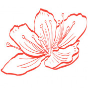 cachlamdep365vn profile image