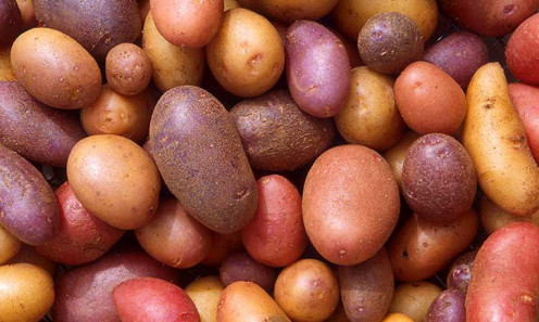 Potatoes of your choice for mashing.
