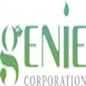 Geniecorpvn profile image