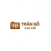 Tran Go Thanh Dat profile image