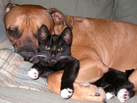 A hug from a friend says a thousand words
