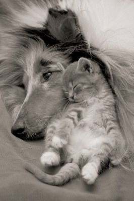 Protection of a friend is a precious gift
