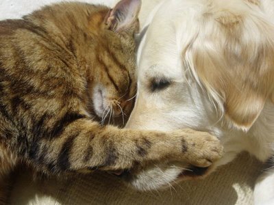 Love is the greatest gift.