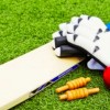 wtp.cricket.team profile image