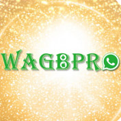 WAGBPro profile image