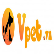 vpetvn profile image