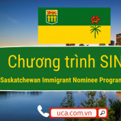 chuongtrinhsinp profile image