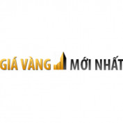 giavanghomnayvn profile image