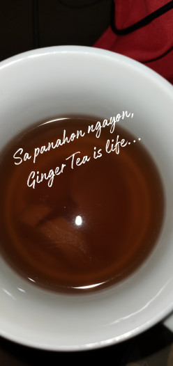 Ginger All the Way