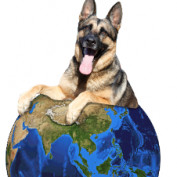 doogleworld profile image