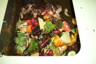 Feeding Organic Wastes