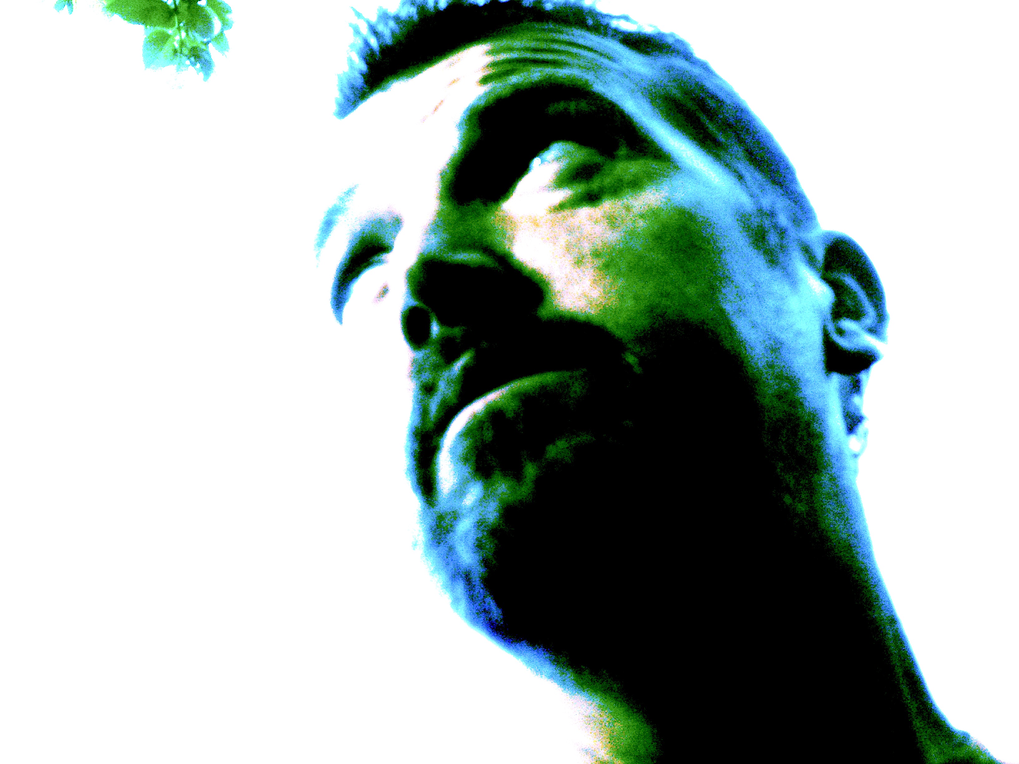 HubPages profile picture for @swimmer